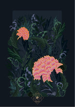 将图片加载到图库查看器，DOROTHY PRINT
